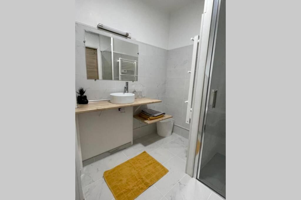 Petit Appartement Cosy A Troyes Ngoại thất bức ảnh